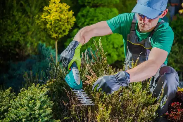 landscaping services Grosse Pointe Farms